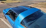 1980 Firebird Trans Am Thumbnail 78