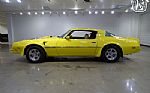 1976 Firebird Trans Am Thumbnail 6