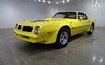 1976 Firebird Trans Am Thumbnail 3