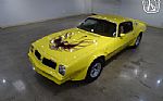 1976 Firebird Trans Am Thumbnail 2