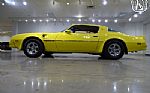 1976 Firebird Trans Am Thumbnail 7