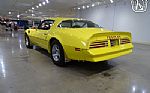 1976 Firebird Trans Am Thumbnail 9