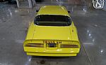1976 Firebird Trans Am Thumbnail 11