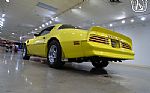 1976 Firebird Trans Am Thumbnail 10