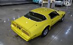 1976 Firebird Trans Am Thumbnail 14