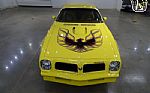 1976 Firebird Trans Am Thumbnail 23