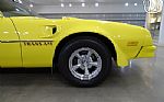 1976 Firebird Trans Am Thumbnail 34