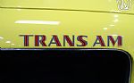1976 Firebird Trans Am Thumbnail 53