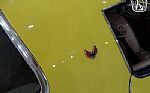 1976 Firebird Trans Am Thumbnail 61