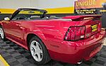2001 Mustang GT Convertible Thumbnail 6