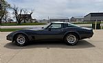 1981 Corvette Thumbnail 5