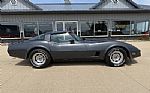 1981 Corvette Thumbnail 6
