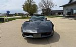 1981 Corvette Thumbnail 7