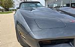 1981 Corvette Thumbnail 14