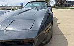 1981 Corvette Thumbnail 13