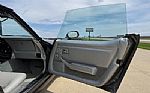 1981 Corvette Thumbnail 40