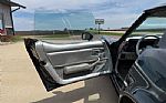 1981 Corvette Thumbnail 39