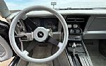 1981 Corvette Thumbnail 49