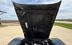 1981 Corvette Thumbnail 57