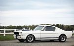 1965 Mustang Fastback GT350 Tribute Thumbnail 12