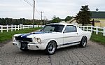 1965 Mustang Fastback GT350 Tribute Thumbnail 9