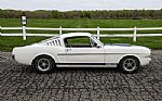 1965 Mustang Fastback GT350 Tribute Thumbnail 17