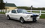 1965 Mustang Fastback GT350 Tribute Thumbnail 18