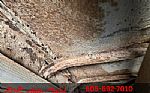 1977 Scout Thumbnail 88