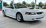 2001 Mustang Thumbnail 4