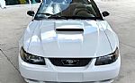2001 Mustang Thumbnail 3