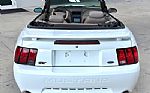 2001 Mustang Thumbnail 8