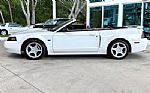 2001 Mustang Thumbnail 10