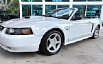 2001 Mustang Thumbnail 12