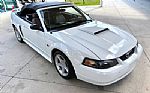 2001 Mustang Thumbnail 21