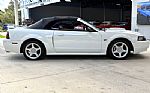 2001 Mustang Thumbnail 22