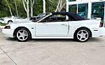 2001 Mustang Thumbnail 24