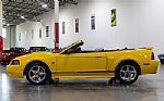 2004 Mustang GT 40th Anniversary Co Thumbnail 4