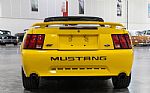 2004 Mustang GT 40th Anniversary Co Thumbnail 6