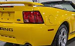 2004 Mustang GT 40th Anniversary Co Thumbnail 21