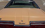 1978 Thunderbird Thumbnail 46
