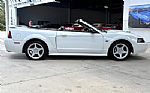 2001 Mustang Thumbnail 5
