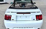 2001 Mustang Thumbnail 8