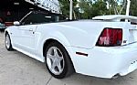 2001 Mustang Thumbnail 15