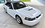 2001 Mustang Thumbnail 21