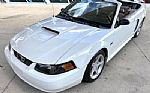 2001 Mustang Thumbnail 20