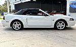 2001 Mustang Thumbnail 22
