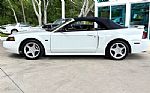 2001 Mustang Thumbnail 24