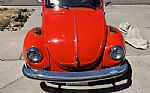  Beetle Thumbnail 7