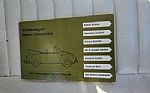  Beetle Thumbnail 16