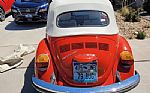  Beetle Thumbnail 34